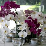 A gorgeous table arrangement of nine mixed colors Phalaenopsis flower stems for a wedding: pure white, white with spots, pink with stripes, solid purple and purple with spots.